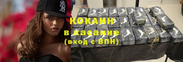 гашик Алексин
