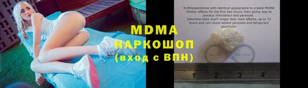 гашик Алексин