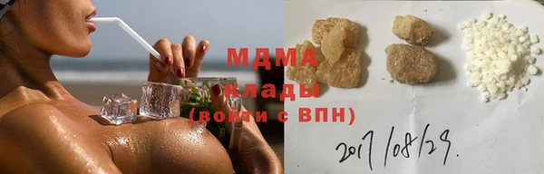 гашик Алексин