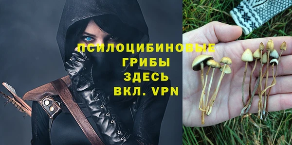амфетамин Алексеевка