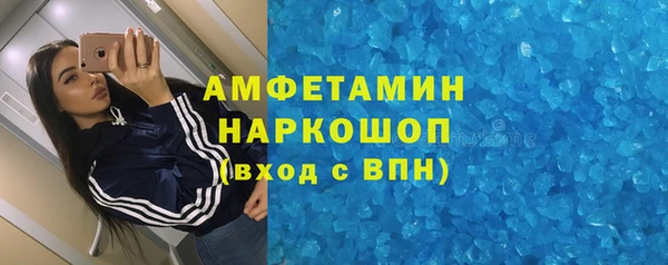 гашик Алексин