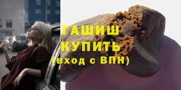 гашик Алексин